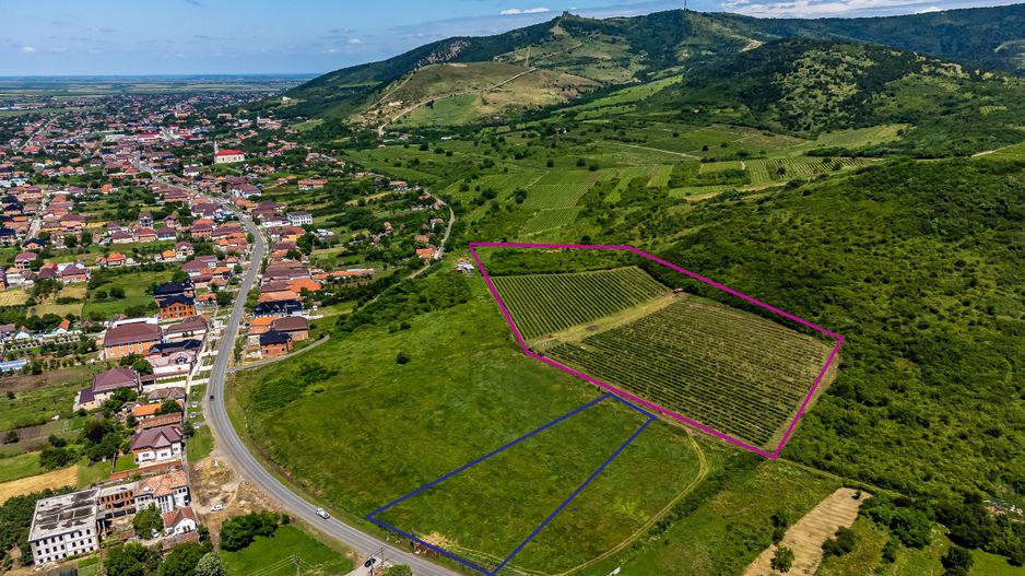 PRET REDUS Oportunitate de afacere, Teren cu vita de vie - Poză 1