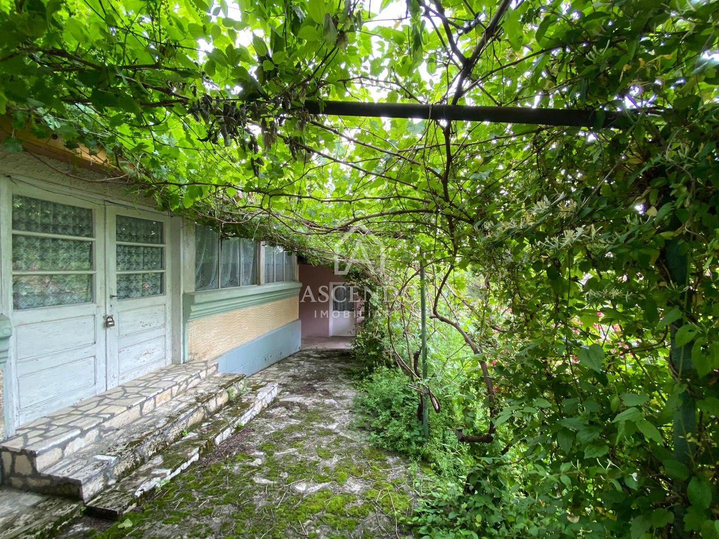 Domeniu 15.900 mp în Fințești | Casă + Investiție Dealu Mare - Poză 4