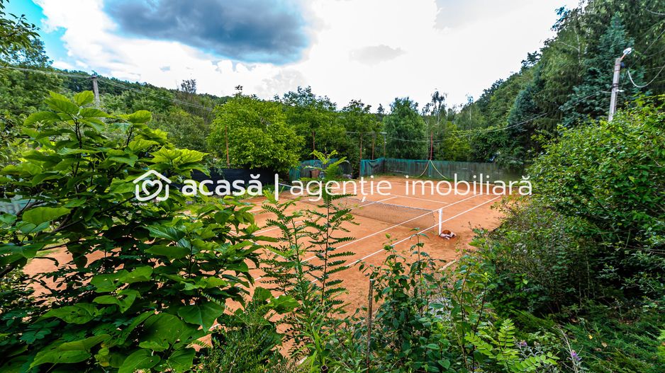 PROPRIETATE VÂNDUTĂ Casă conac cu 15.000 mp deal împădurit la Barațca, - Poză 7