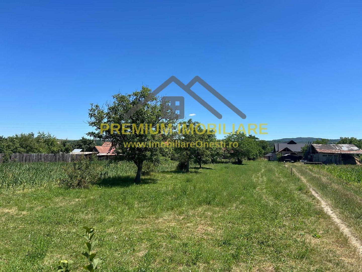 Teren intravilan de vânzare – Cașin, județul Bacău - Poză 3
