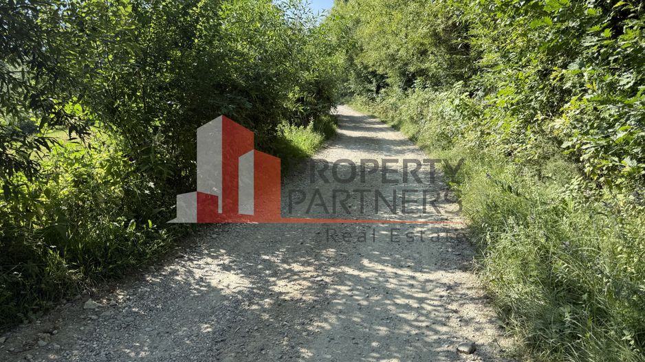 Teren Sohodol 5000 mp - Poză 7