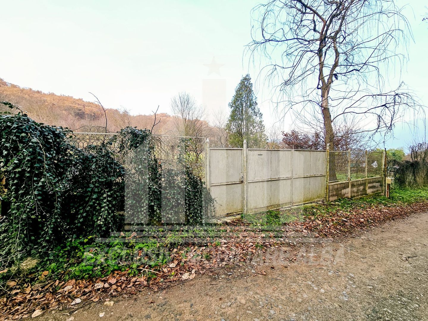 Teren intravilan intre Alba - Micesti, partea stanga - Poză 3