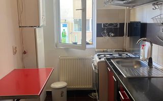 Apartament 2 camere/ Parc Laurentiu Raiciu/ Drumul Fermei - Poză 9