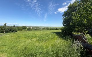 Teren intravilan de vânzare | 7.610 mp | Ilișești, sat Brașca - Poză 10