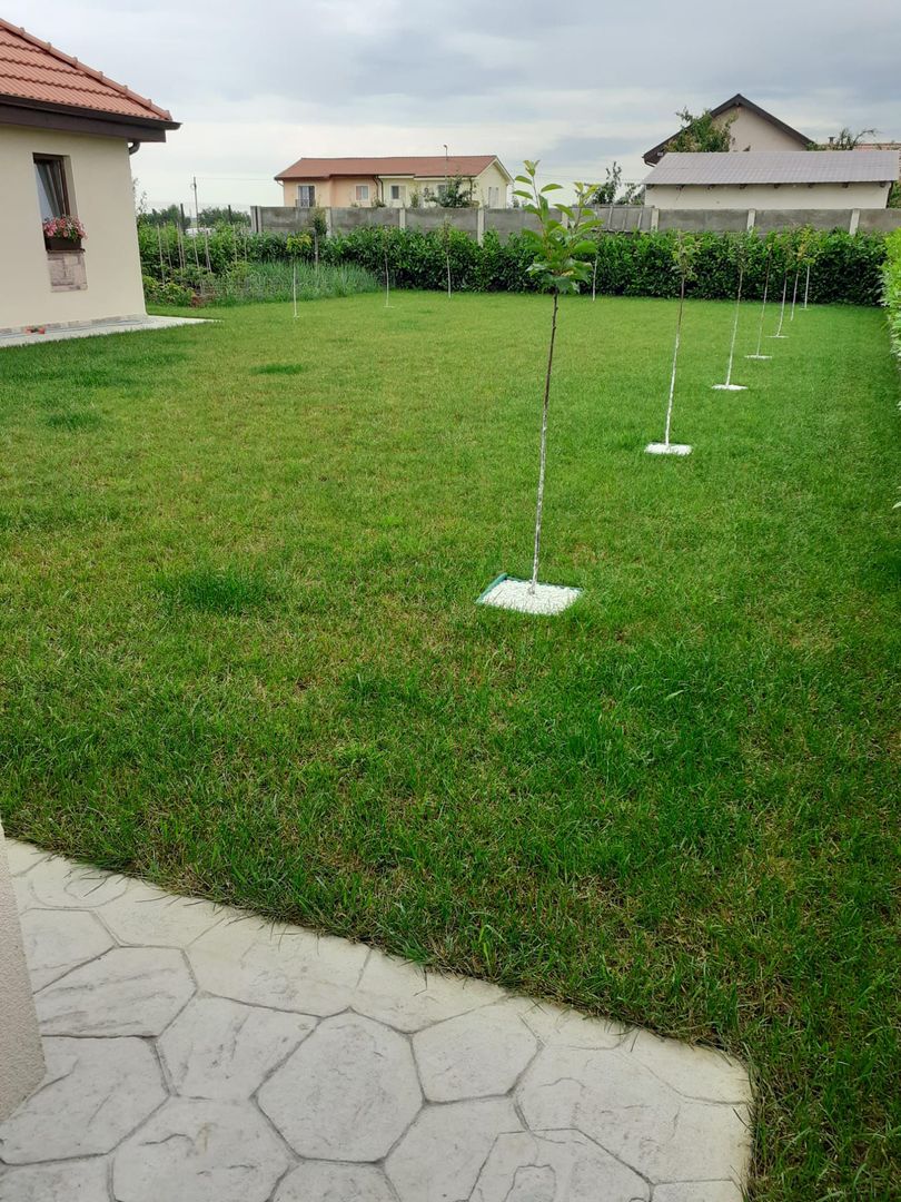 Locuinta individula cu garaj - Poză 6