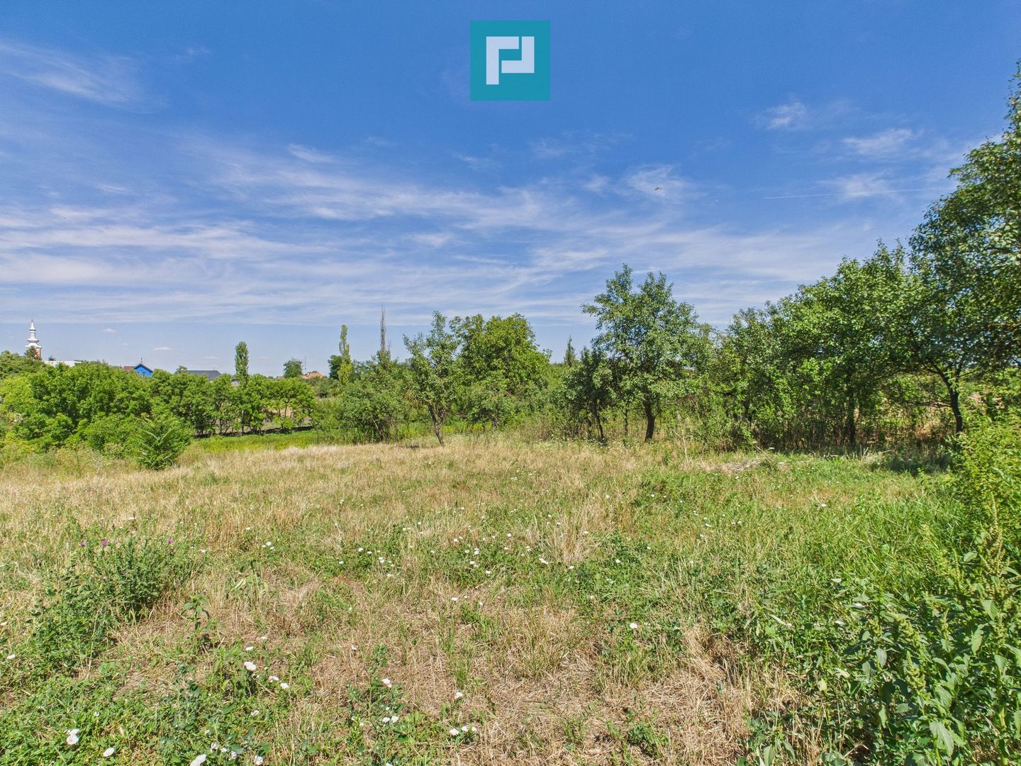 Teren 4919 mp– Comuna Călacea - Poză 3