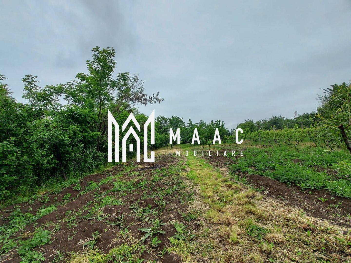 Casa | 1331 mp Teren | Miercurea Sibiului | - Poză 7