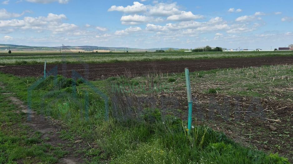 Teren de vânzare în Stolniceni-Prăjescu, 1250 mp, deschidere 12.5 m - Poză 2