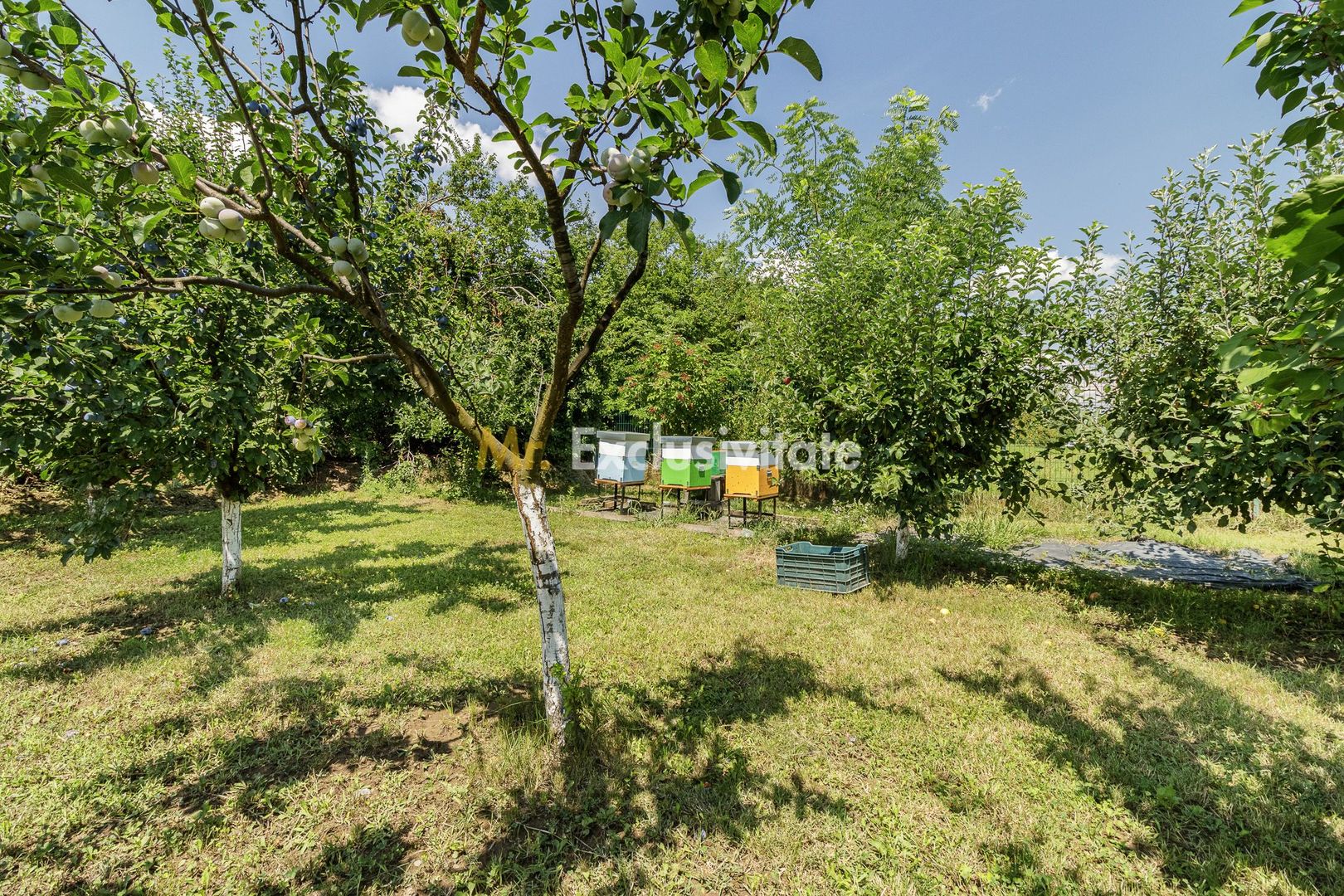 Casă de vânzare Tâncăbești cu grădină, aproape de lac - Poză 27