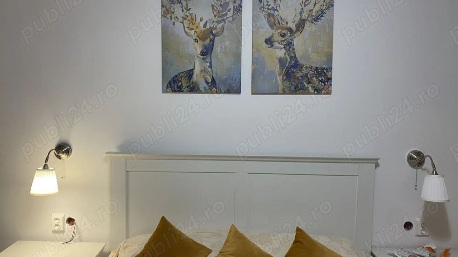 Vând aprtament 2 camere Lujerului - Poză 5