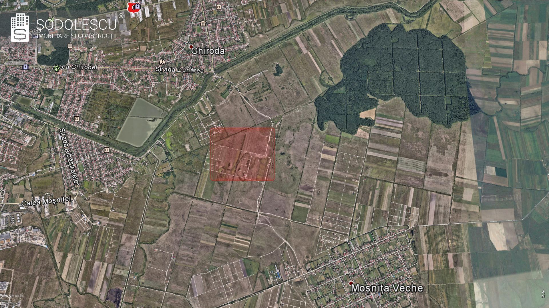 TEREN ZONA PADUREA BISTRA 879 MP - Poză 5