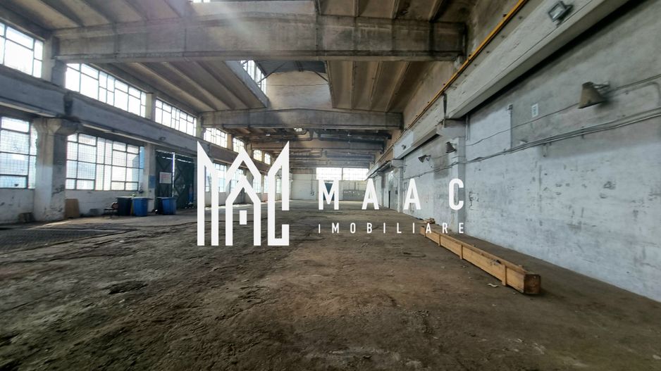 Hala Industriala | 1500MPU | Lazaret - Poză 3