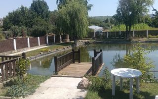 Cabana de închiriat în Iași, la 10 minute de centru - Poză 4