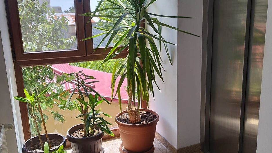 3 camere | Baneasa | 2 locuri parcare | Ionescu de la Brad - Poză 28