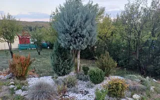 Casa de vanzare | 156 mp utili | Saldabagiu de munte | Bihor - Poză 13