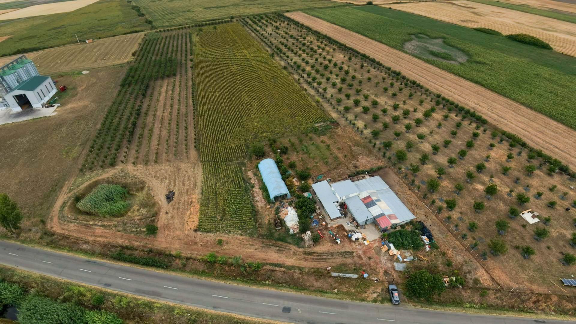 Livadă de 3,6 hectare în Iratoșu – Oportunitate - Poză 2