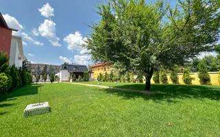 Chirie I Vilă individuală | 3 dormitoare | 1000 mp I Iancu Nicolae - Poză 41