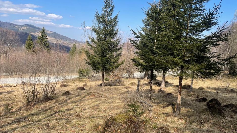 Casa/Pensiune turistica de vanzare |  5 dormitoate cu baie proprie - Poză 9