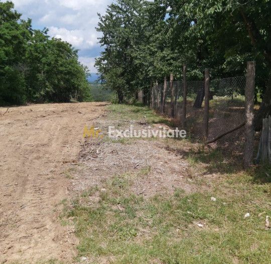Teren zona montana in com.Turcinesti Jud.Gorj - Poză 5