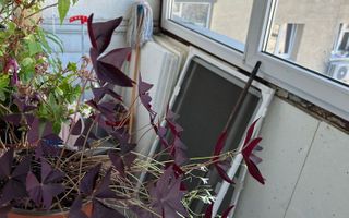 Vanzare 3 camere Titan-Nicolae Grigorescu , bloc 1984, 2 bai - Poză 8