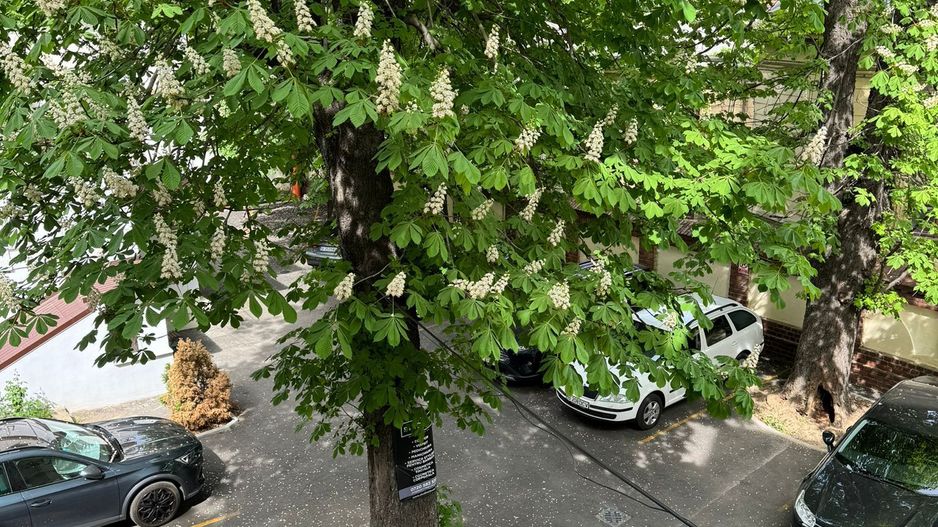 Apartament 2 camere ultracentral - Poză 14