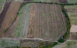Teren agricol de 34.500mp în Albina, Județul Timiș - Poză 4