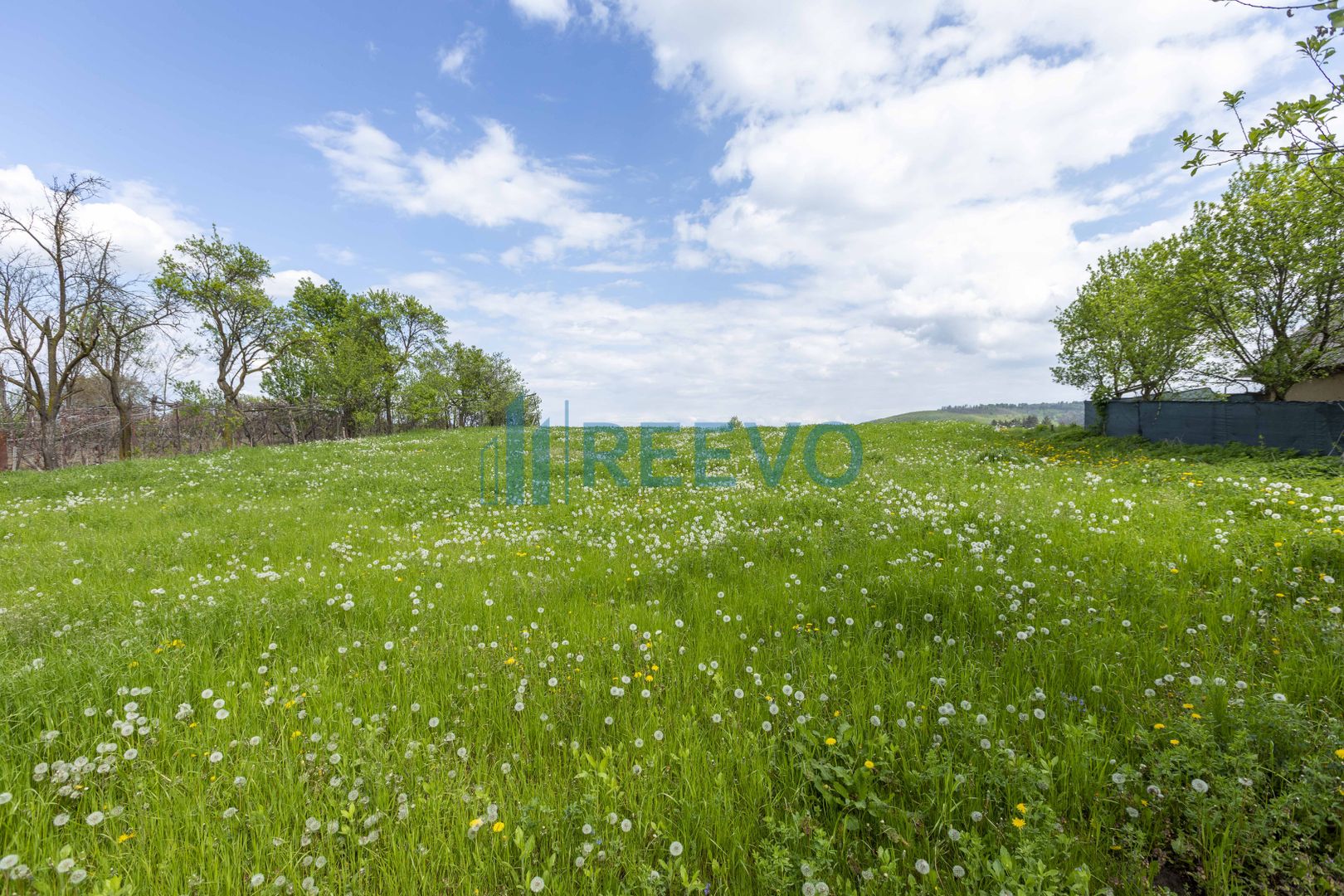 Teren intravilan Blăgești, Bacău - Poză 6