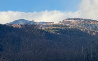 VILA 4 CAMERE, LERESTI, TEREN 3489 MP COMISION 0% CUMPARATOR - Poză 59