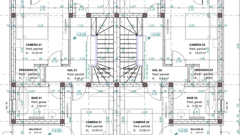 Duplex  Sanandrei - Poză 5