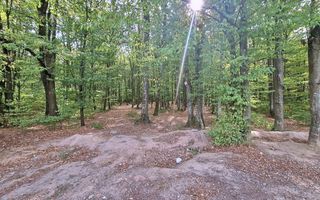 Ocazie!! Vanzare teren - padure, toate utilitatile, Balotesti - Poză 13