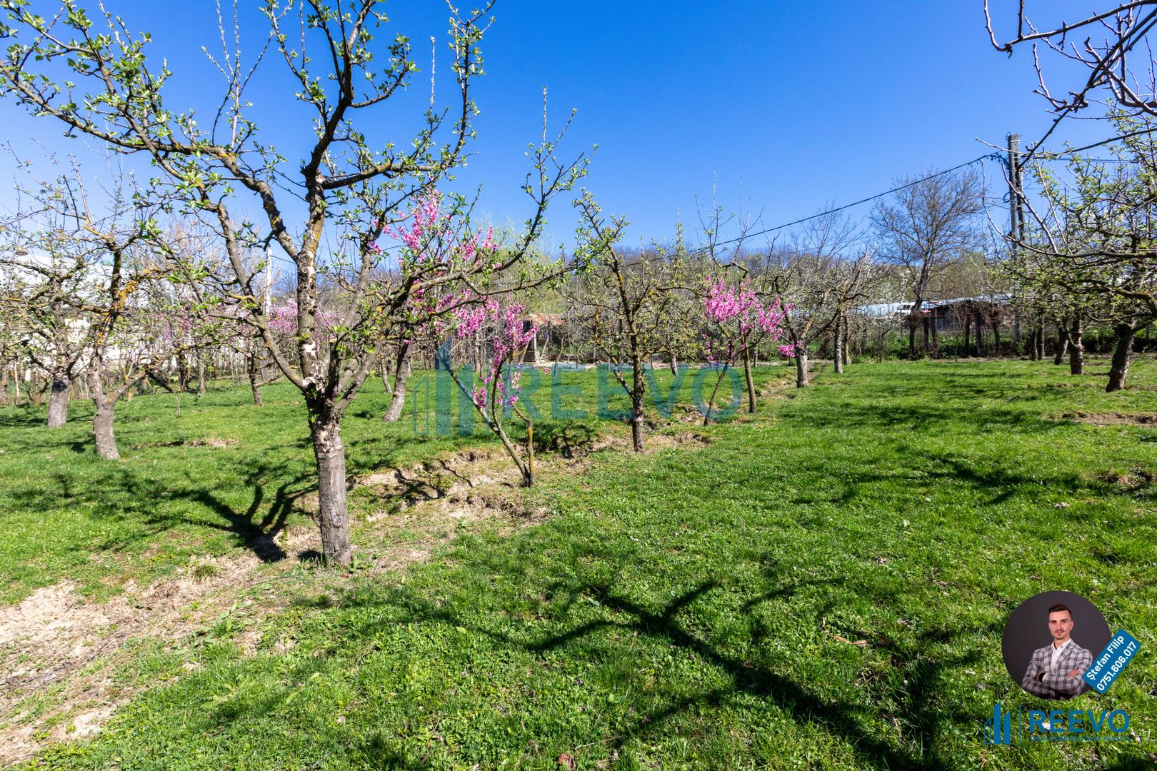 Casă și teren de vânzare, sat Buda, Blăgești, Bacău - Poză 37