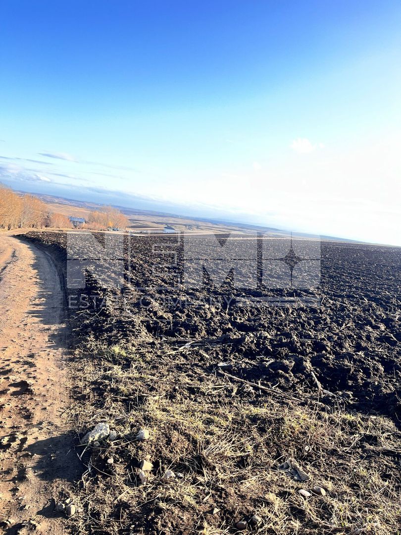 Teren I Suceava I Moara Nica I 2500 Mp I 54.900 Euro - Poză 7