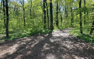 TEREN 7000 MP| DESCHIDERE 40 ML | INTRAVILAN-PADURE | POT 5% | TEREN UNIC | - Poză 3