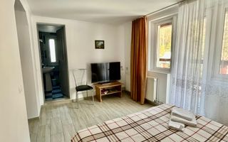 Pensiune de vânzare I Transfăgărășan, Cărțișoara, jud. Sibiu - Poză 24