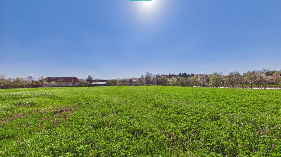 Teren intravilan 3024 mp, în comuna Almaș, Arad - Poză 4