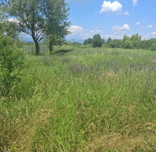 Teren extravilan 2.500 mp | Str. Ana Ipătescu, Târgu Jiu  - Poză 2