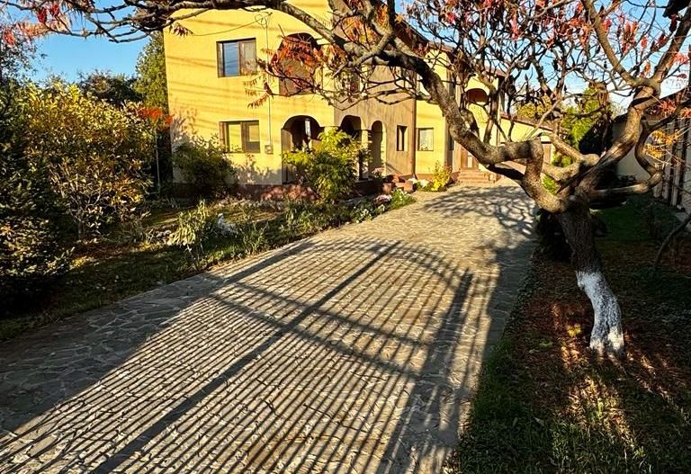 Vanzare casa ideal 2 familii padurea Romanesti - Poză 16