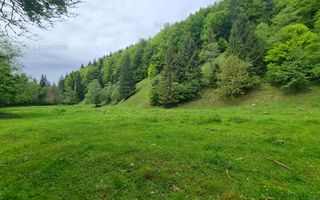 13005 mp teren faneata in Bran Simon cu fornt de 57 mp - Poză 2
