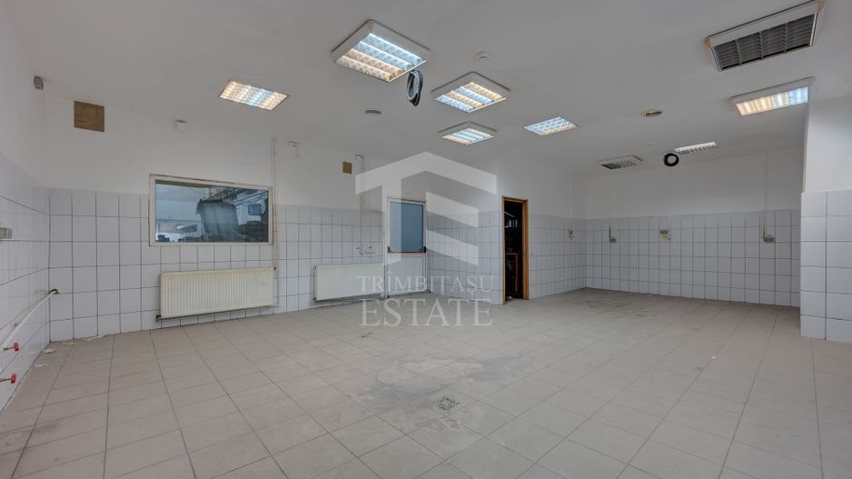 HALE INDUSTRIALE / DEPOZITARE – PLOIEȘTI, ZONA INDUSTRIALA  XENIA - Poză 4