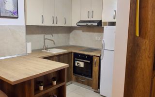 Studio modern cu terasa mare | Aviatiei - Poză 6