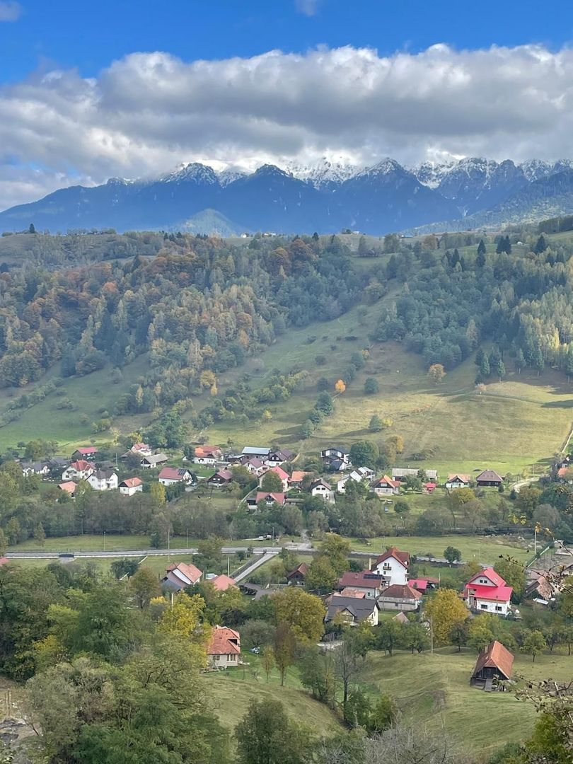 Teren extravilan cu priveliste catre Bucegi – Moieciu de Jos 4.700 mp - Poză 6