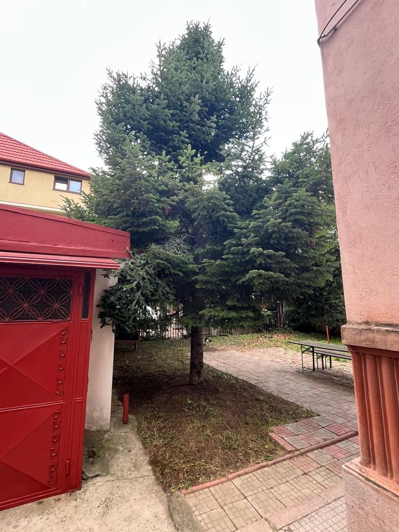 Apartament 3 cam in vila Domenii Casin | Curte proprie | Garaj 2 locuri - Poză 20