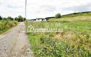Teren 6.800mp teren cu deschidere de 100 m la drum asfaltat - Poză 4