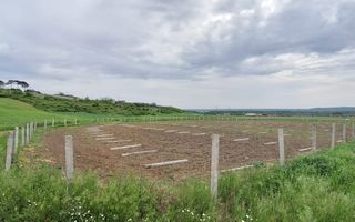 Teren intravilan cu PLANTATIE DE GOJII de vanzare in Racari - Poză 16