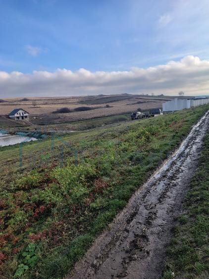 Teren intravilan de 900 mp în comuna Miroslava, sat Proselnici - Poză 4