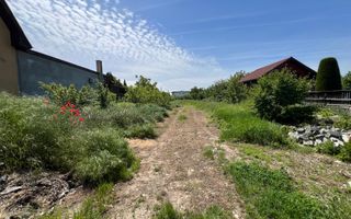 2.200mp teren cu toate utilitatile la asfalt –Zona DSVSA Cetate - Poză 3