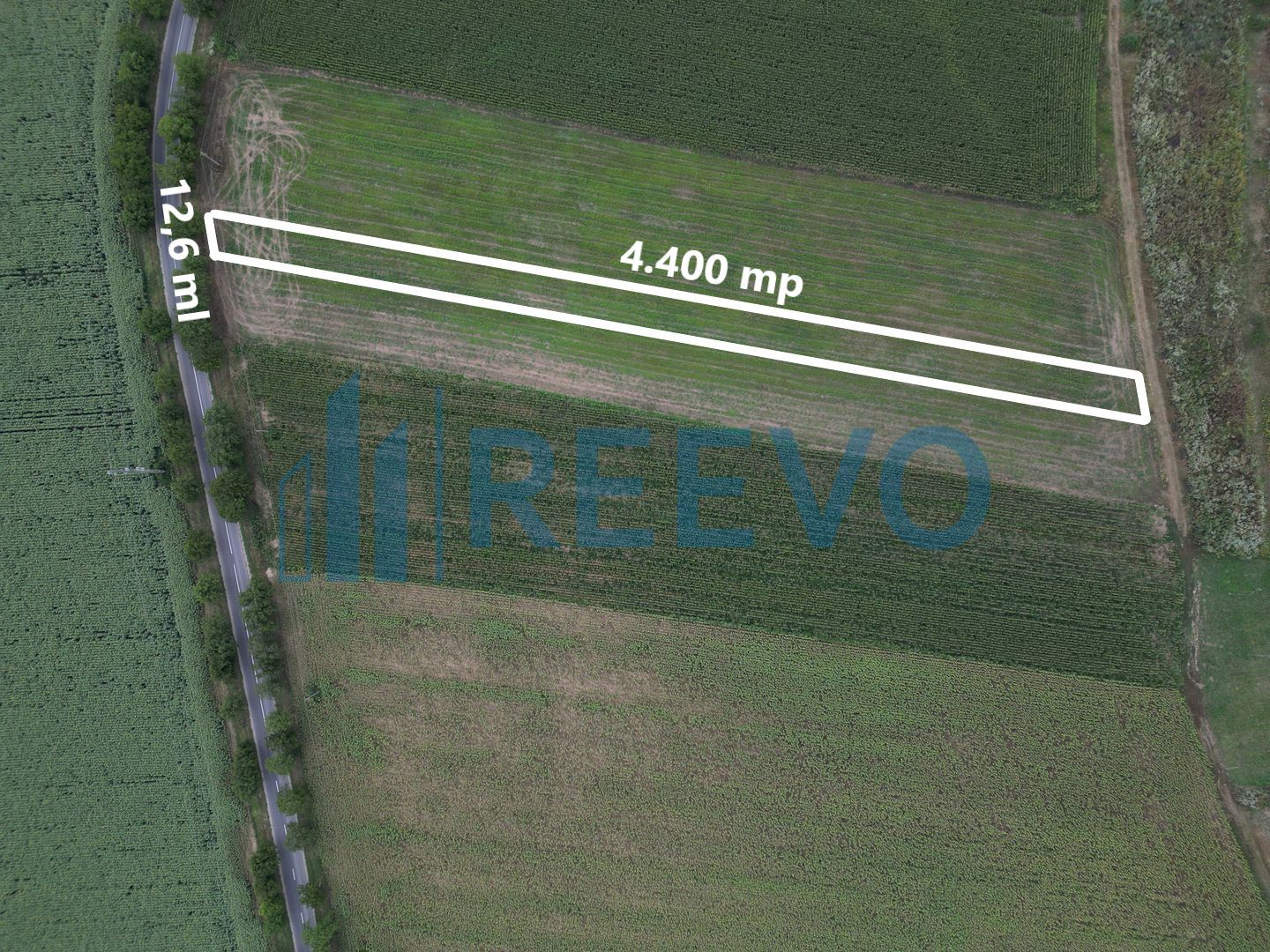 Teren de 4.400 mp Racova - Poză 1