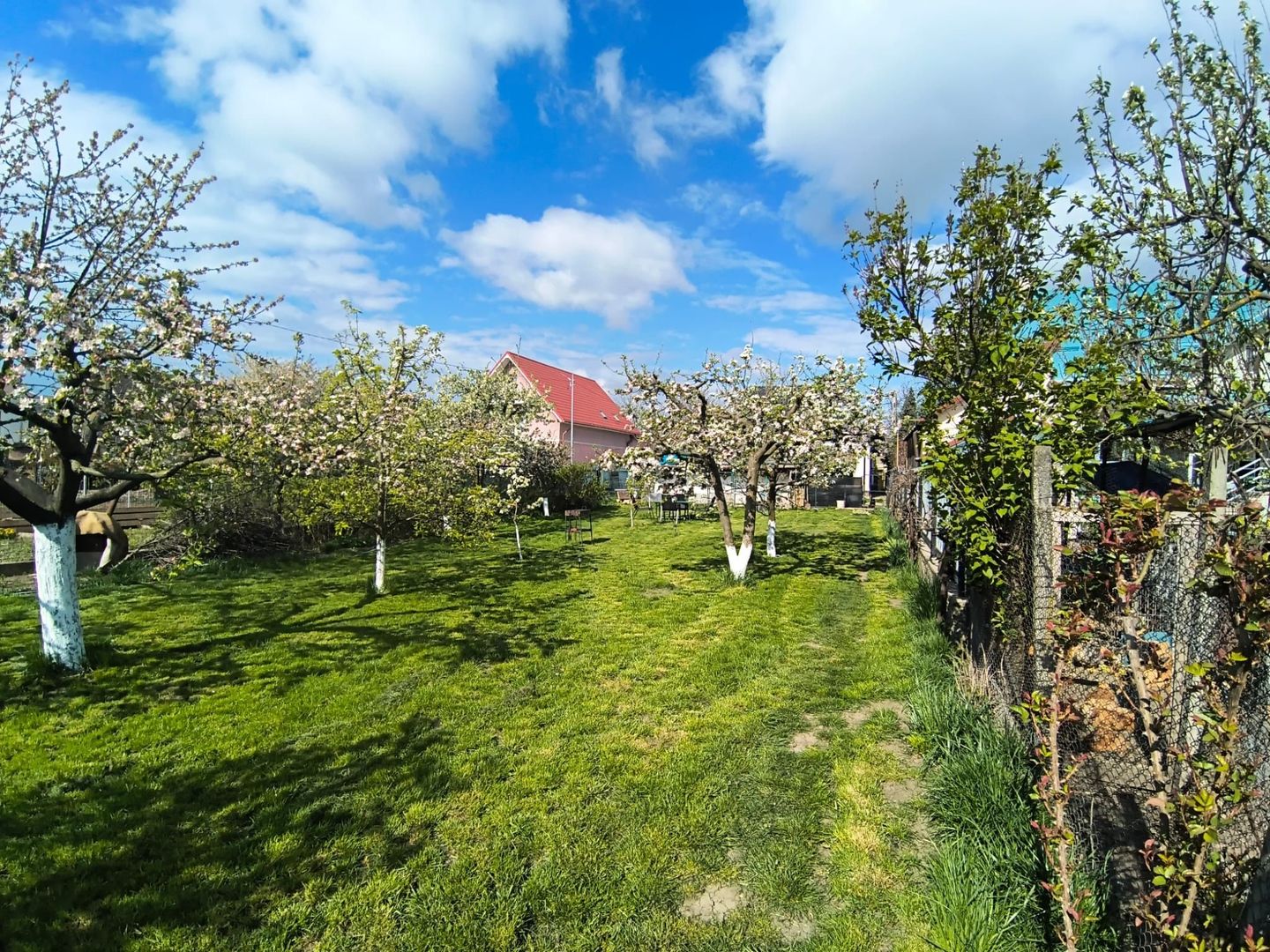 Casa + Teren Generos 1400 MP | Burdujeni – zona Penny - Poză 23