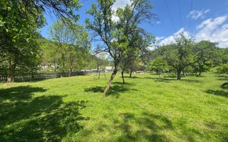 TEREN INTRAVILAN 3477 MP STOENEȘTI BĂDENI ARGEȘ - Poză 13