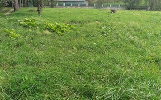 TEREN INTRAVILAN 3698 MP, CAMPULUNG, ARGES - Poză 1